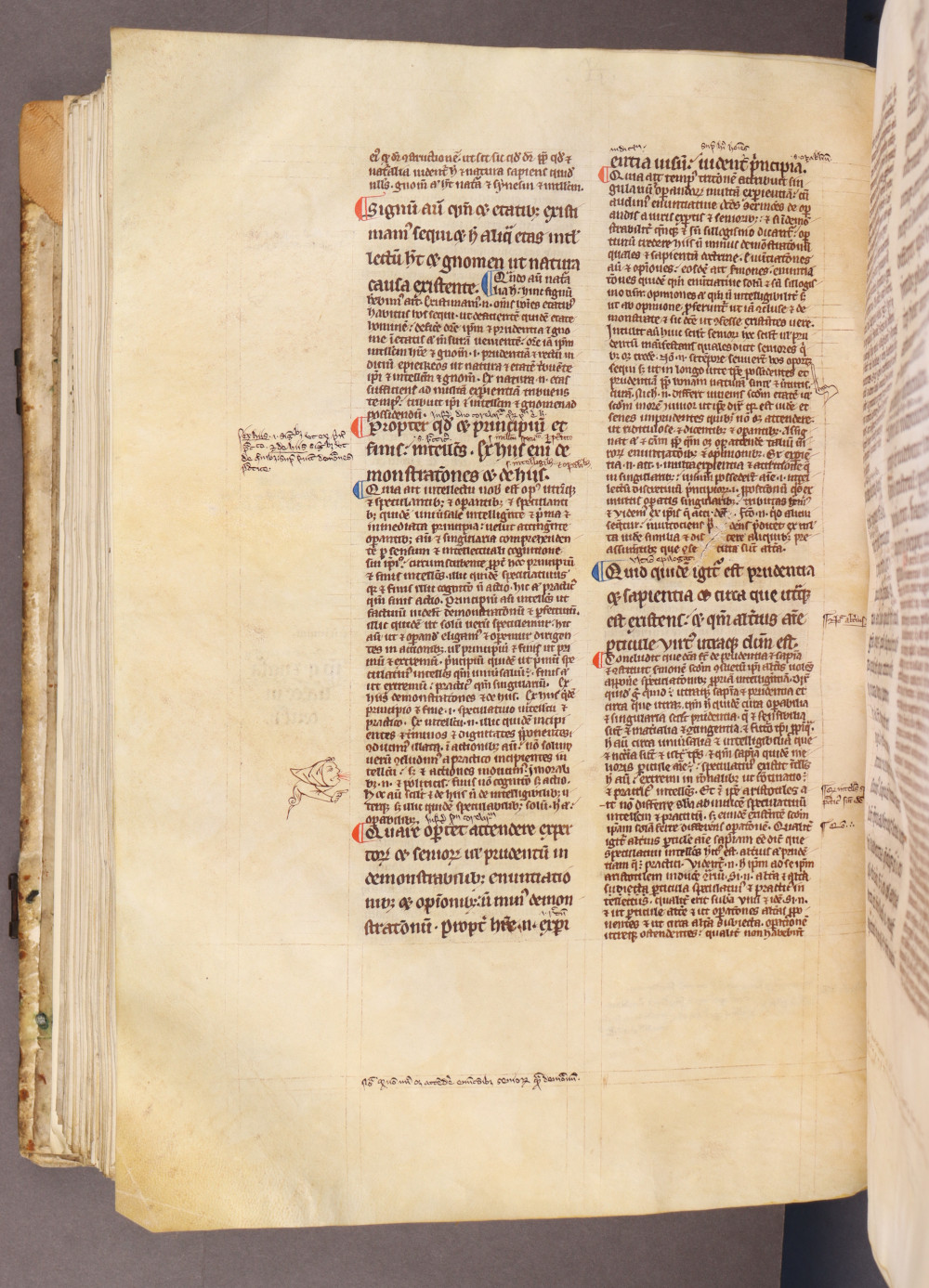 Folio 143 verso